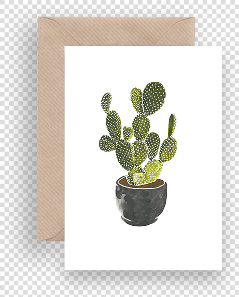 Prickly Pear  HD Png DownloadTransparent PNG