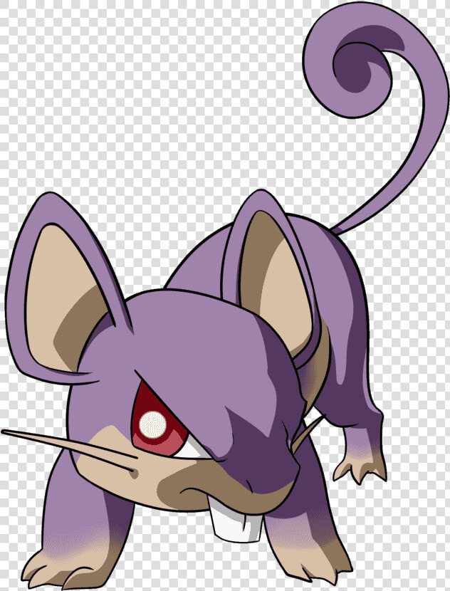 Rattata Png  Transparent PngTransparent PNG