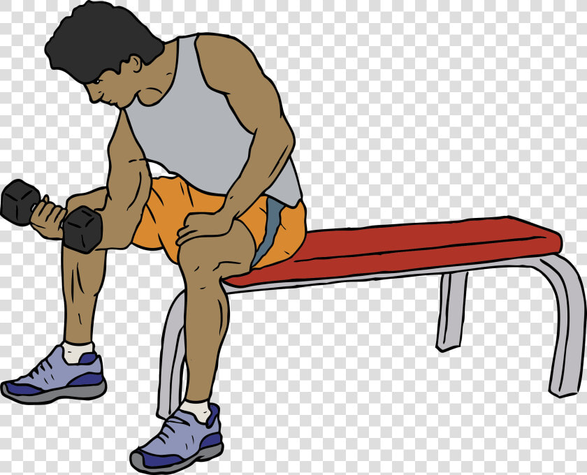 Dumbell Lifter Clip Arts   Exercise At The Gym Clipart  HD Png DownloadTransparent PNG