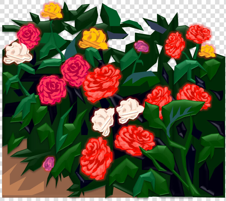 Begonia   Png Download   Garden Roses  Transparent PngTransparent PNG