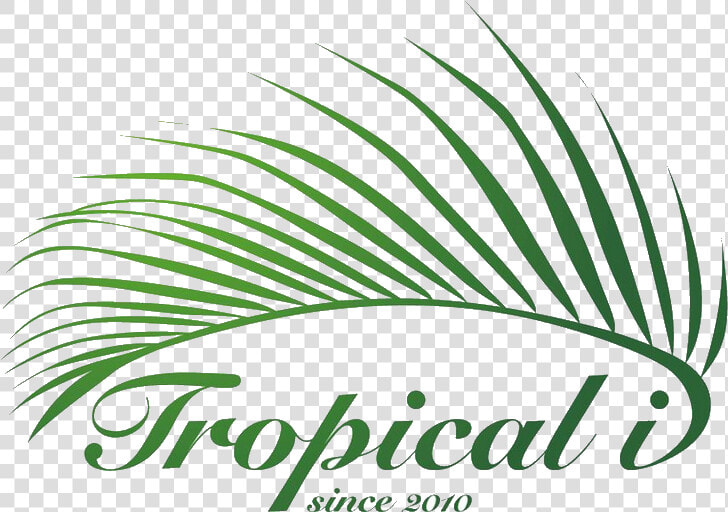 Com wp   Tropical I Sdn Bhd  HD Png DownloadTransparent PNG