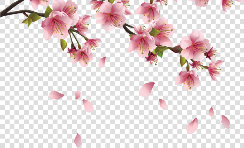 Beautiful Pink Spring Branch With Falling Petals Png   Transparent Sakura Flower Png  Png DownloadTransparent PNG