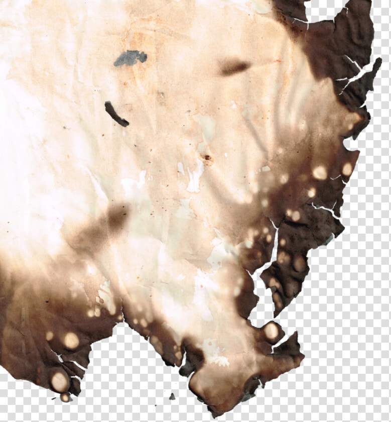 Burnt Paper Burnt Transparent  HD Png DownloadTransparent PNG