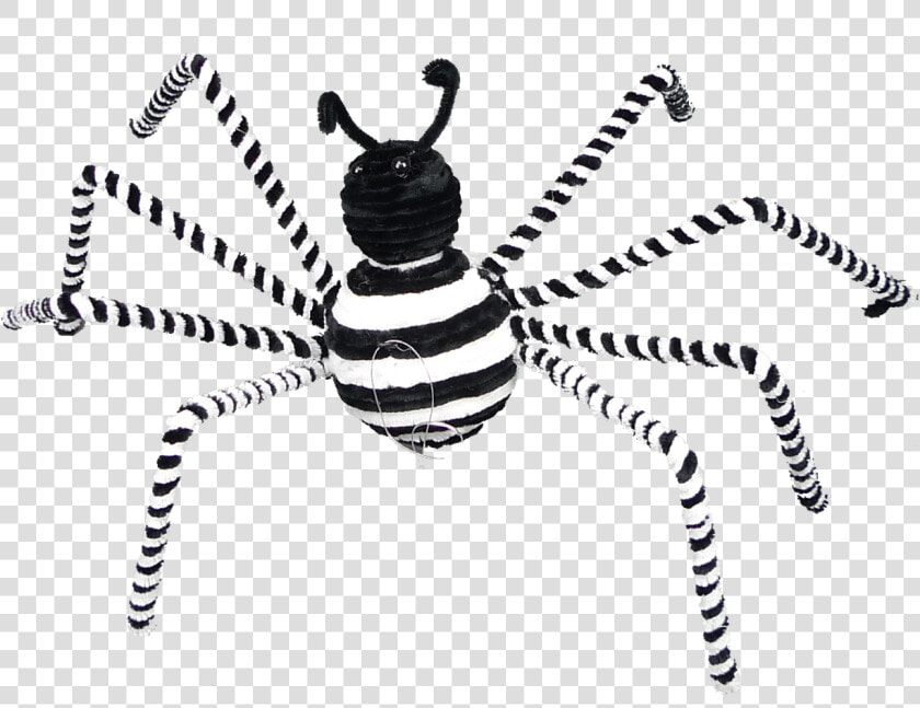 17   Spiders Black And White  HD Png DownloadTransparent PNG