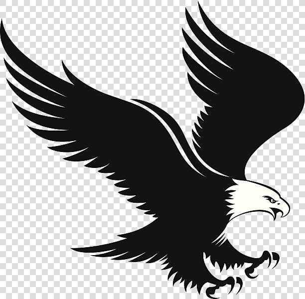 Eagle Free Clipart Clip Art On Transparent Png   Eagle Landing Clip Art  Png DownloadTransparent PNG