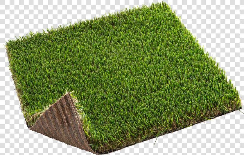 Artificial Turf  HD Png DownloadTransparent PNG