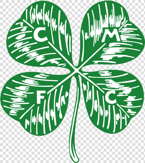 Logopedia   Shamrock  HD Png DownloadTransparent PNG