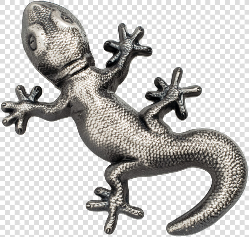 Gecko Silver Palau  HD Png DownloadTransparent PNG