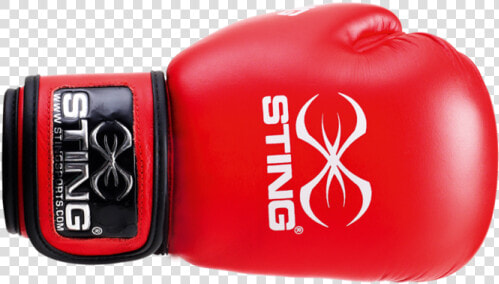 Boxing Gloves Png For Games   Boxing Gloves Blue Png  Transparent PngTransparent PNG