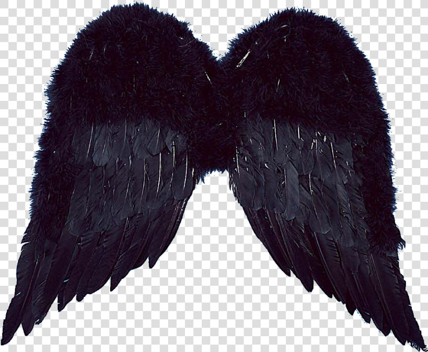 Realistic Angel Wings Png For Kids   Sayap Untuk Editor  Transparent PngTransparent PNG