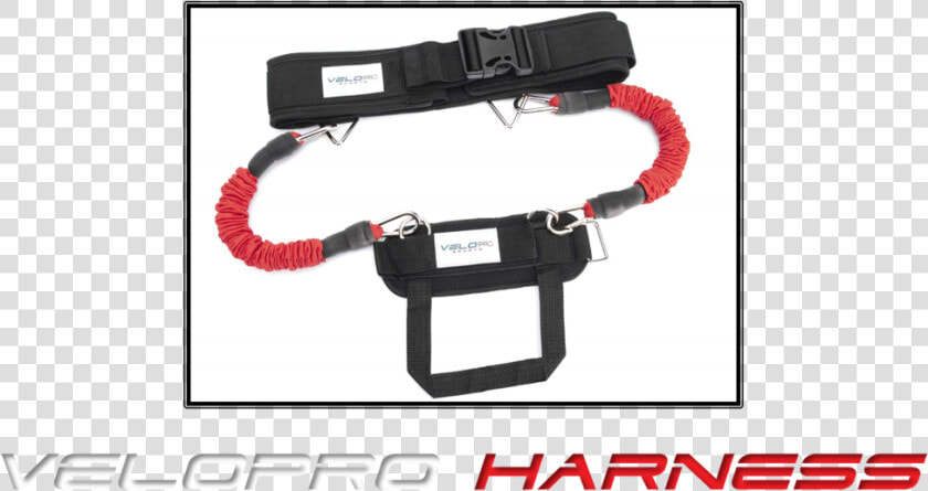 Option 2   Velo Pro Harness  HD Png DownloadTransparent PNG