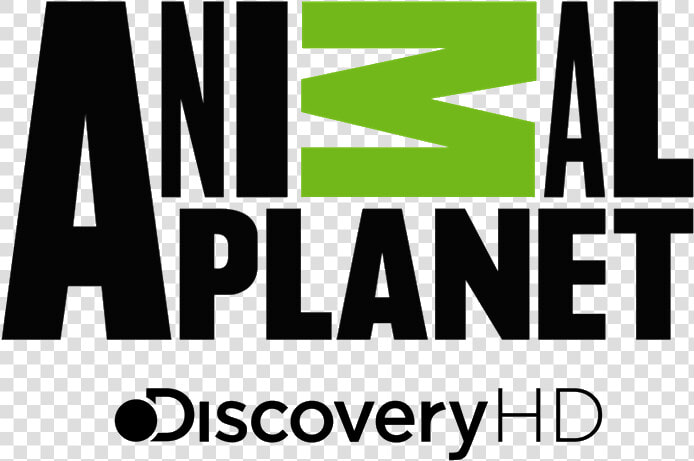 Animal Planet Hd Latinoamerica Logos De Aire Cable  HD Png DownloadTransparent PNG