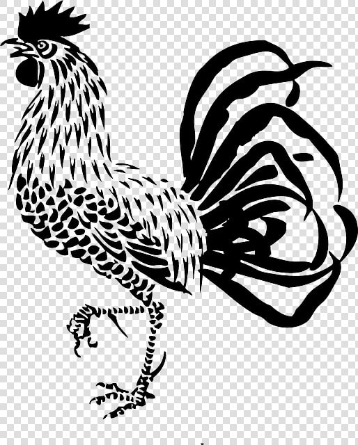 Rooster  Cock  Poultry  Farm  Cockerel  Domestic   Rooster Clipart Black And White Free  HD Png DownloadTransparent PNG