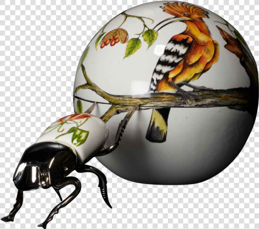 Dung Beetle Ceramics  HD Png DownloadTransparent PNG