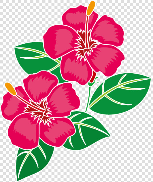 Png Hibiscus Flowers Patterns   ハワイ イラスト 花  Transparent PngTransparent PNG