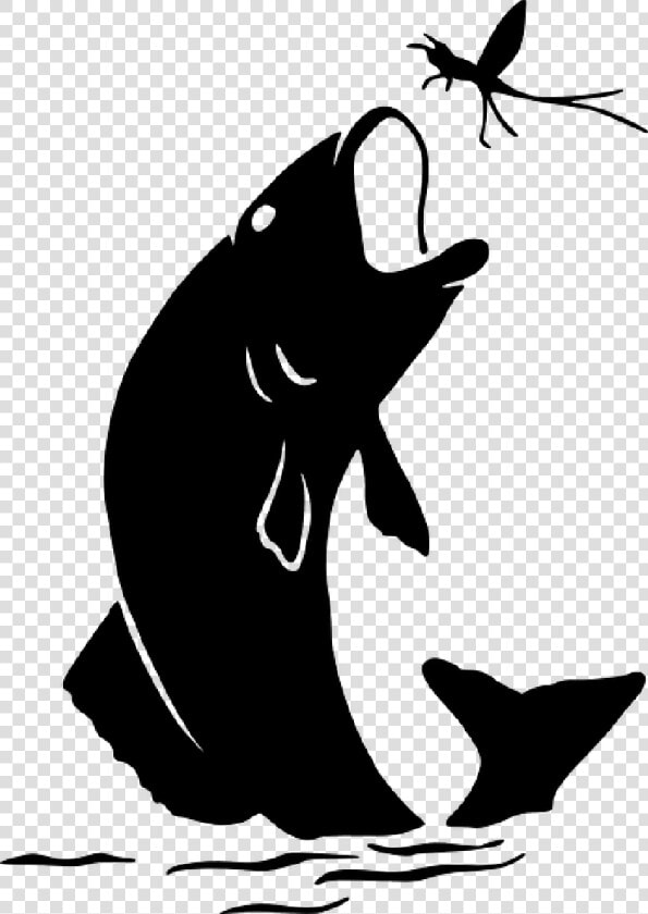 Vector Graphics Clip Art Bass Fishing Image   Largemouth Bass Silhouette  HD Png DownloadTransparent PNG