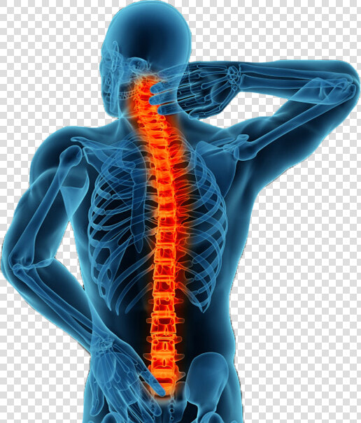 Spine Back Png Jpg Black And White Library  Transparent PngTransparent PNG