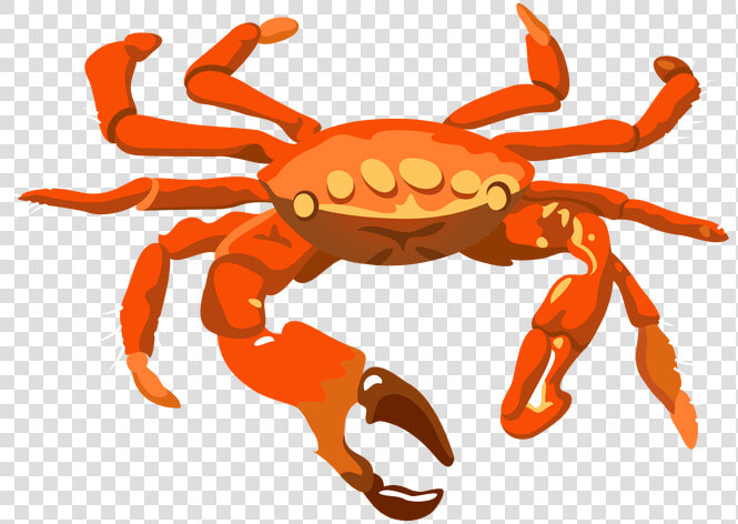 Crab Pictures Clip Art Best For Food   Transparent Background Crab Transparent  HD Png DownloadTransparent PNG