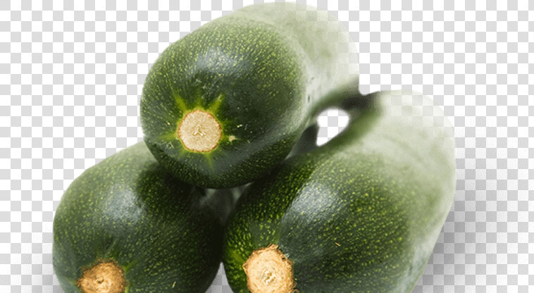 Zucchini   Png Download  Transparent PngTransparent PNG