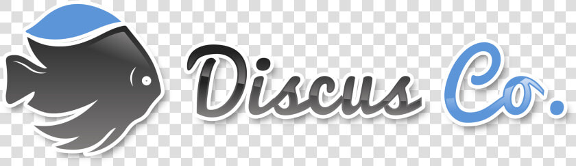 Discus Co     Graphic Design  HD Png DownloadTransparent PNG