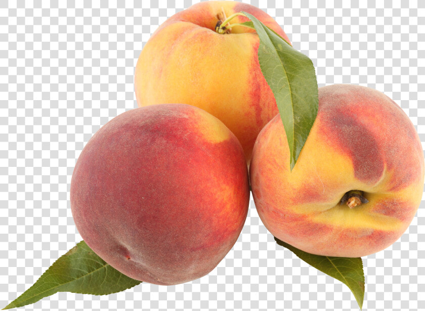 Transparent Peaches  HD Png DownloadTransparent PNG