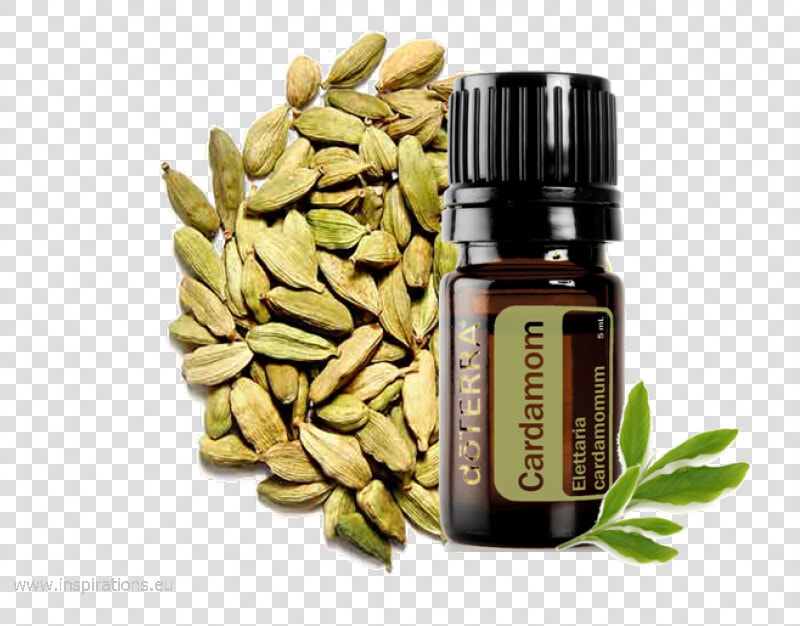 Doterra Cardamom Kardamom   Cardamom Doterra  HD Png DownloadTransparent PNG