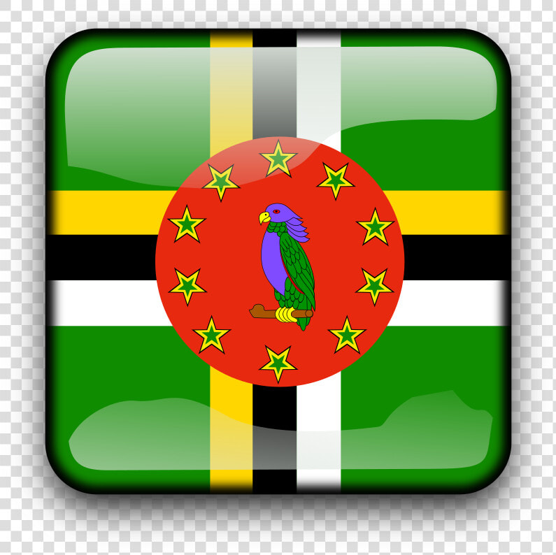 Green rectangle flag Of Dominica   Flag Of Dominican Republic Green  HD Png DownloadTransparent PNG