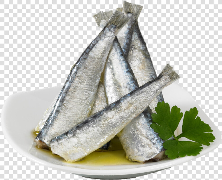 Sardines  HD Png DownloadTransparent PNG