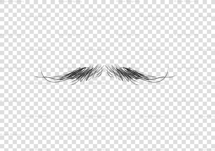 Eyelash Extensions  HD Png DownloadTransparent PNG