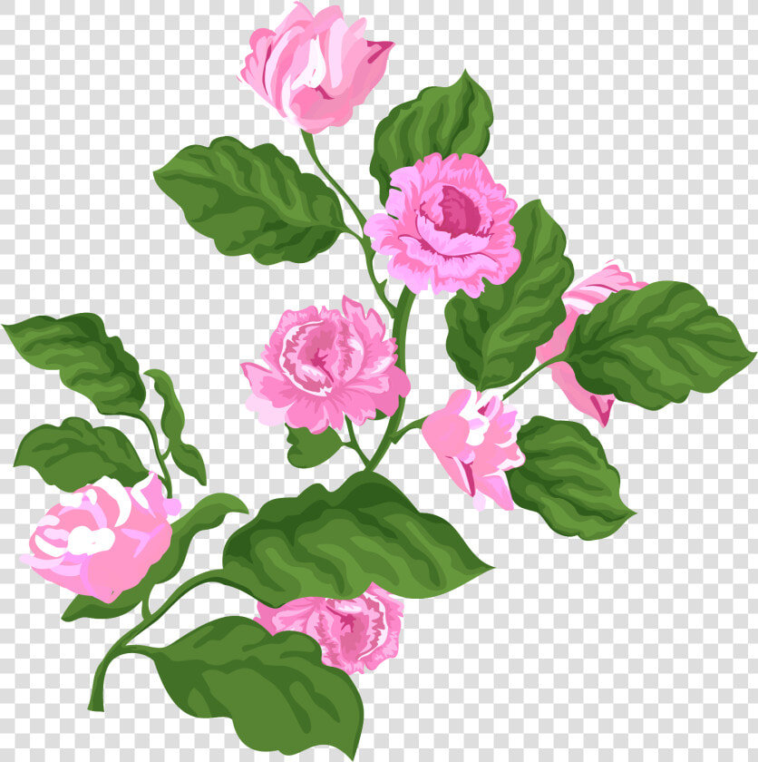 Rose Pink Valentine Plant Png And Vector Image   รูป ดอก กุหลาบ สีชมพู  Transparent PngTransparent PNG