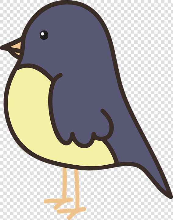 Bird  Cute  Ave  Fly  Flight  Birds  Plumage  Garden   Stummelschwanz Zwergtyrann  HD Png DownloadTransparent PNG