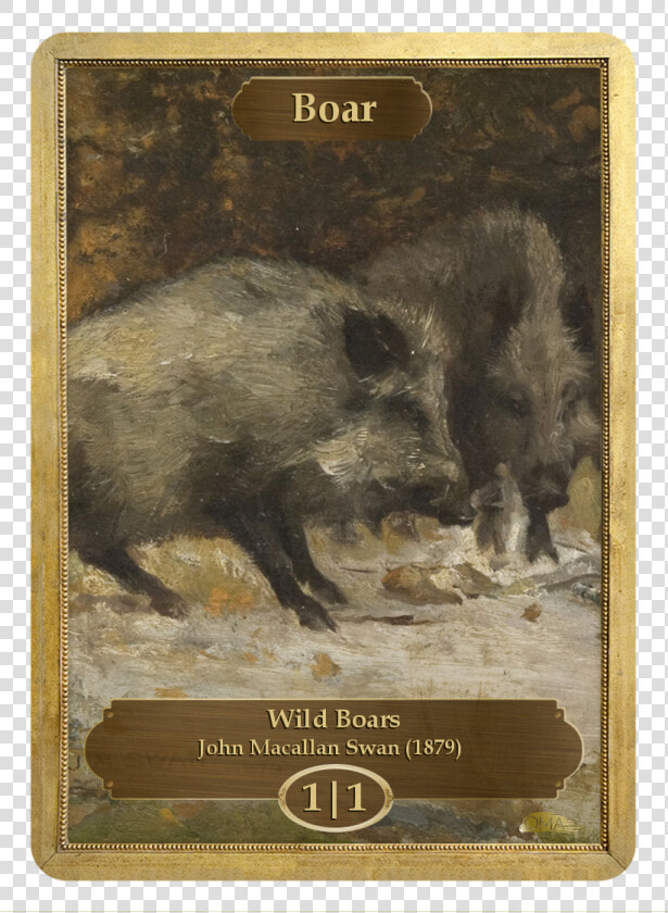 Wild Boars  HD Png DownloadTransparent PNG