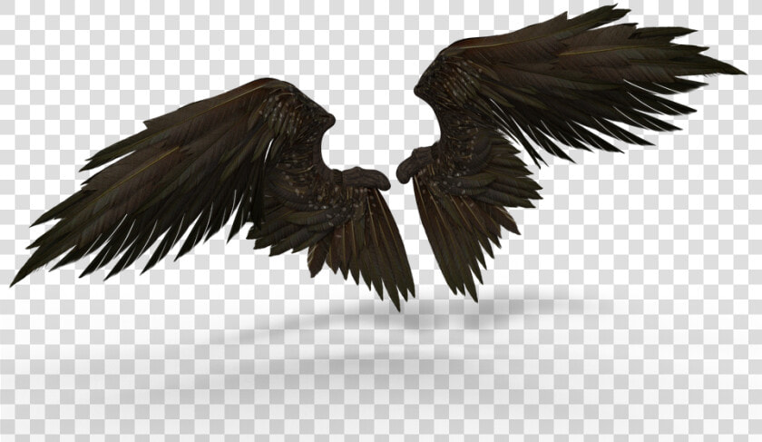 Transparent Raven Wings Png   Alas De Malefica  Png DownloadTransparent PNG