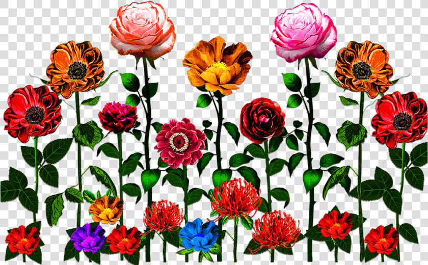 Vector flower vector Art flower Vector vector Flower   Garden Roses  HD Png DownloadTransparent PNG