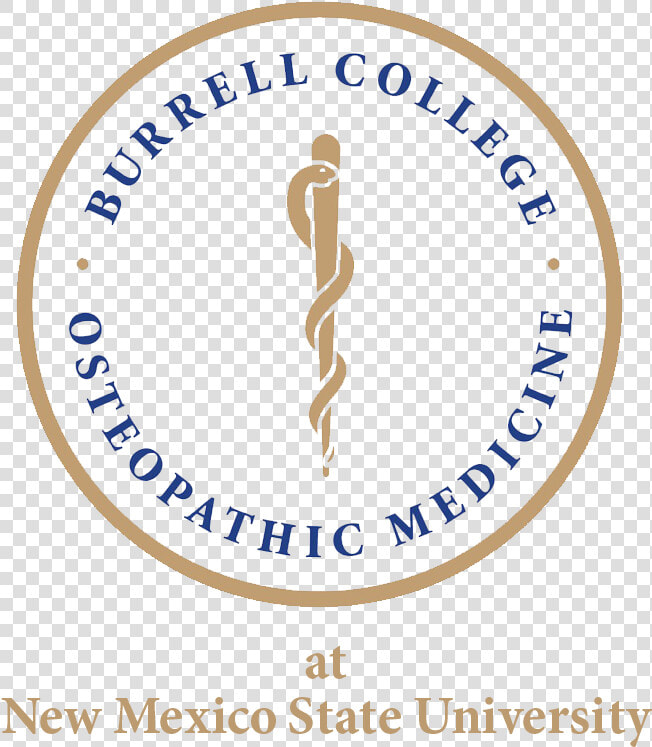 Burrell College Of Osteopathic Medicine   Human Action  HD Png DownloadTransparent PNG