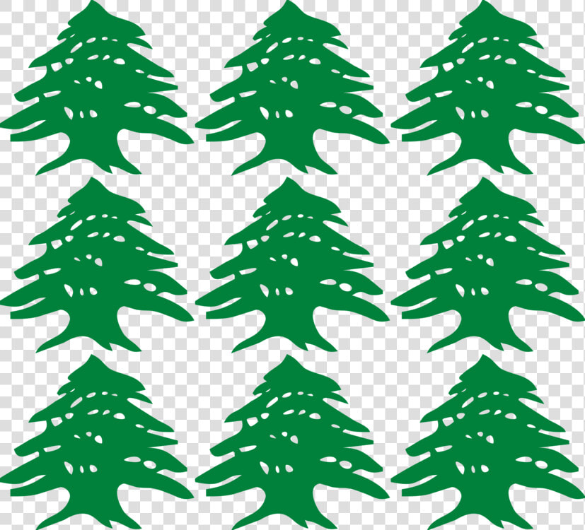 Pine Family plant leaf   Lebanese Cedar Tree Vector  HD Png DownloadTransparent PNG