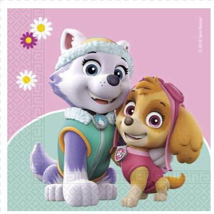 Tovaglioli Paw Patrol Skye  amp  Everest 20 Pz   Paw Patrol Skye And Everest Png  Transparent PngTransparent PNG