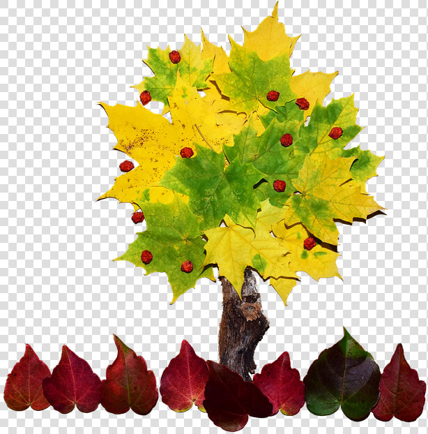 Cool Tree Cliparts 12  Buy Clip Art   Collage De Un Arbol  HD Png DownloadTransparent PNG