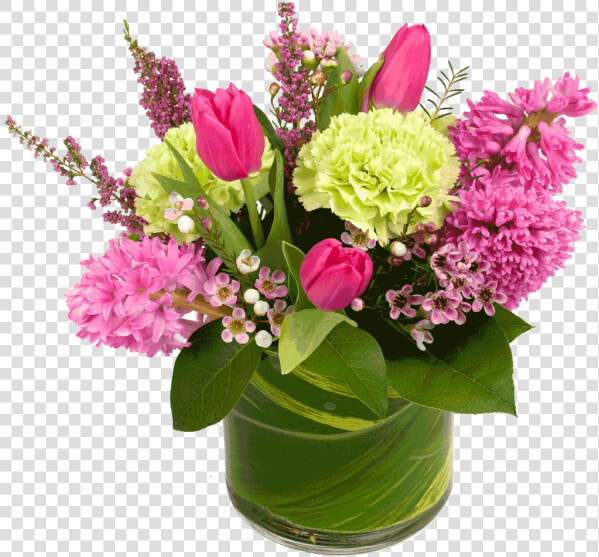 Spring Hyacinth   Eust G Rosita Rose Pink  HD Png DownloadTransparent PNG