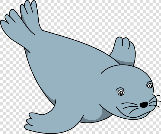 Sea Lion Clip Art   Sea Lion Clipart Png  Transparent PngTransparent PNG