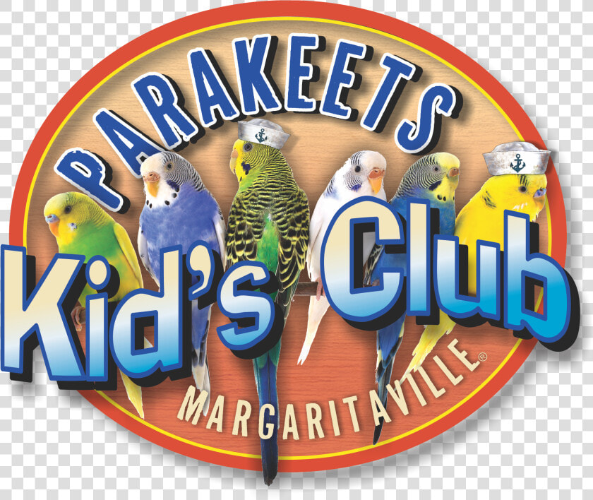 Parakeets Kid’s Club Logo   Jimmy Buffett Parakeets  HD Png DownloadTransparent PNG