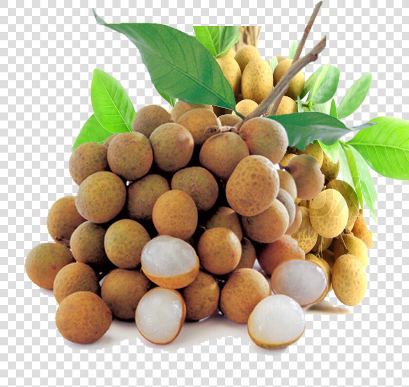 Clip Art Dragon Eye Fruit   Longan Fruit In Tamil  HD Png DownloadTransparent PNG