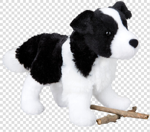 Douglas Border Collie  HD Png DownloadTransparent PNG