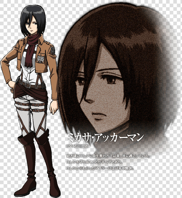 Mikasa Ackerman  HD Png DownloadTransparent PNG