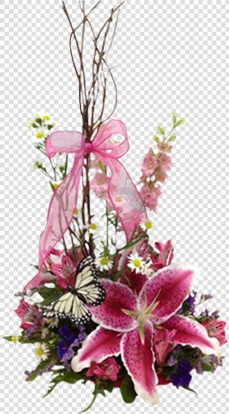 Lily   39 stargazer  39   HD Png DownloadTransparent PNG