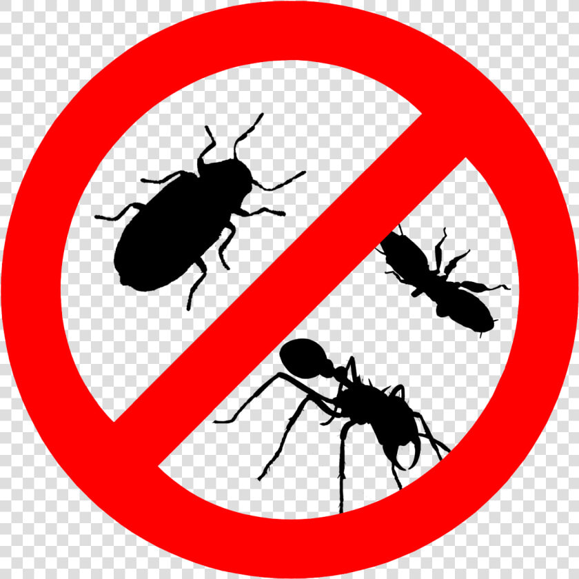 Pests Control  HD Png DownloadTransparent PNG