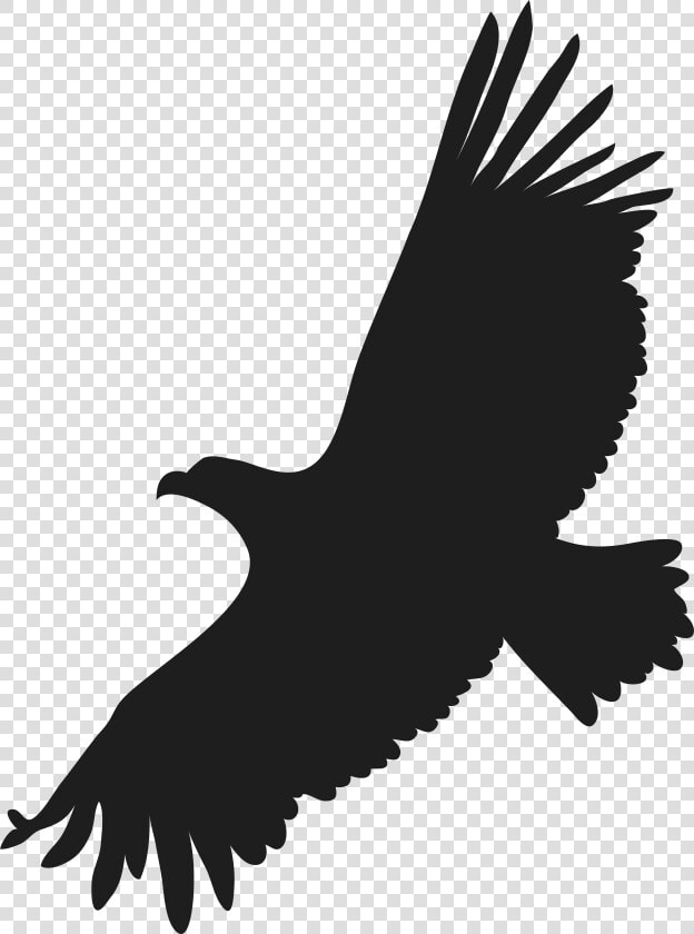 Flying Eagle Png Clip Art Image   Flying Eagle Silhouette Png  Transparent PngTransparent PNG