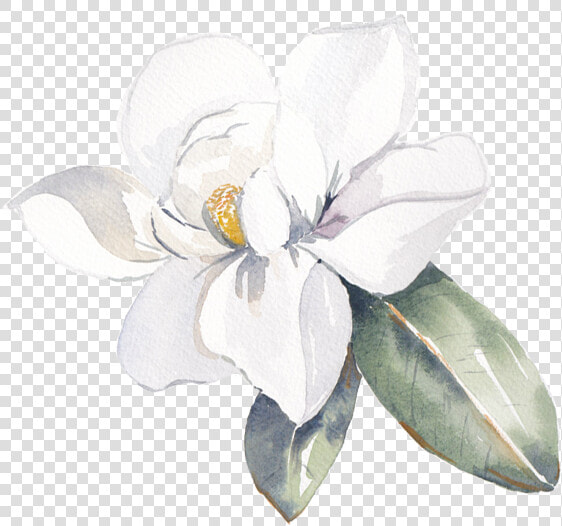 Data Src   cdn   Frangipani Watercolor Png  Transparent PngTransparent PNG