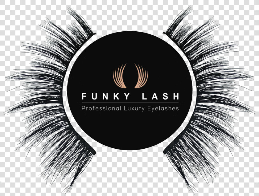 Eye Lashes Png  Transparent PngTransparent PNG