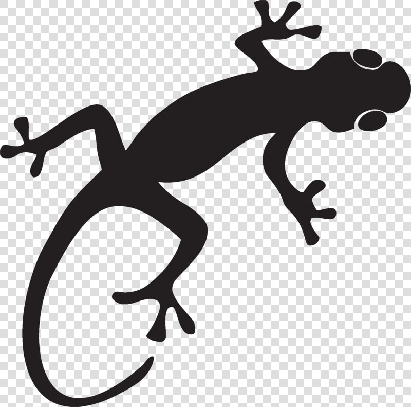 Gecko Lizard S   Transparent Gecko Silhouette  HD Png DownloadTransparent PNG